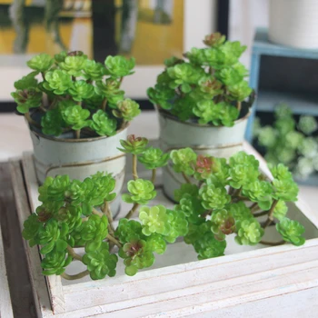 Mesterséges Pozsgás Növények Micro Táj Szimuláció Pozsgás Növények 24 Fejüket Hamis Növények Otthoni Dekoráció